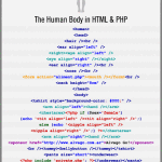 Человеческое тело в терминах HTML и PHP