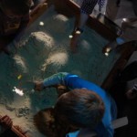 Интерактивные жуки в системе Glowing Pathfinder Bugs