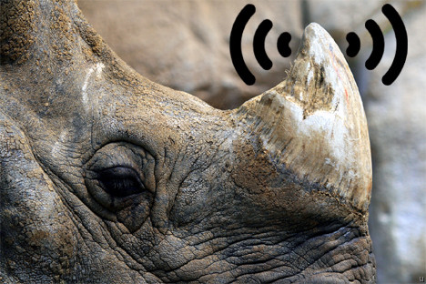 GPS-носороги