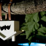 Скворечник Бэтмена