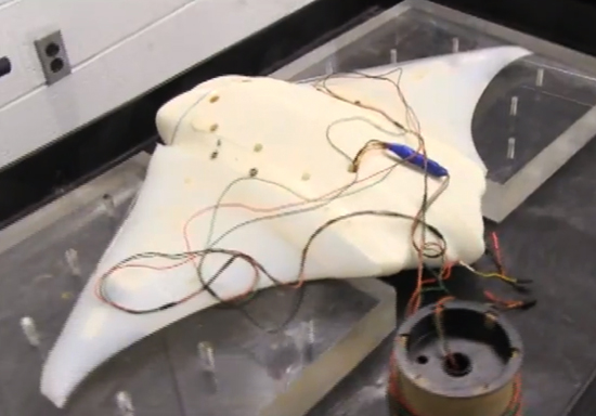 Подводный робот, которого не отличишь от ужасного ската