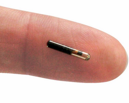 Микрочип от воровства – поможет найти и спасти любой предмет