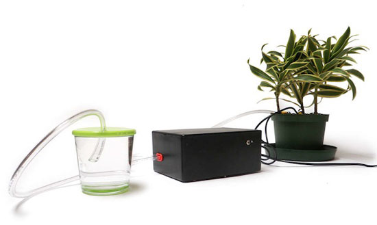 Растение, оснащенное платформой Arduino, сможет поливать себя самостоятельно, без помощи человека 