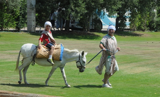 Парк, в котором ослы оснащены… Wi-Fi