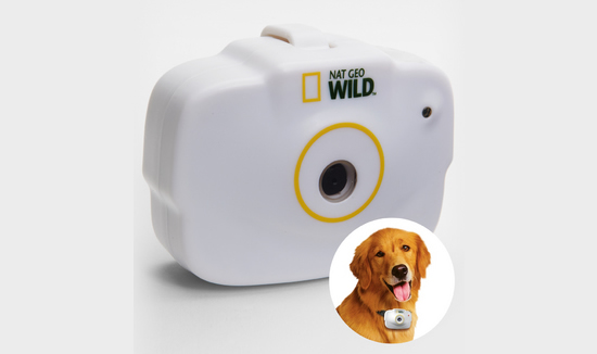 national-geographic-pet-camera-1