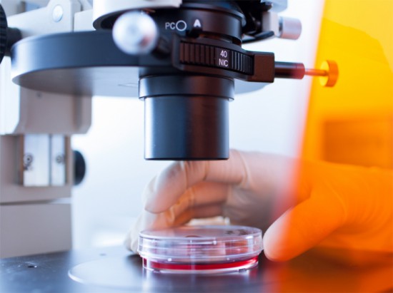 Ученые выращивают нос для мужчины, страдающим раком