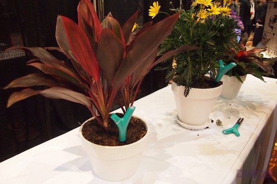  Сенсор Flower Power проследит за состоянием домашних растений