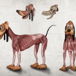 Illustrated-Anatomy-of-Popular-Disney-Characters-1