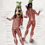 Illustrated-Anatomy-of-Popular-Disney-Characters