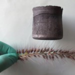 Появился новый самый легкий материал в мире: графен-аэрогель