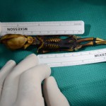 Малюсенькие гуманоиды