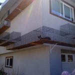 Рай для кошки – и уличная прогулка, и полнейшая безопасность