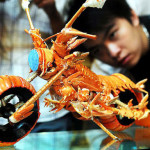 Лобстер превратился в мотоцикл