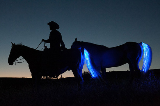 Tail-Lights-LED-Strips-For-Your-Horse-s-Tail