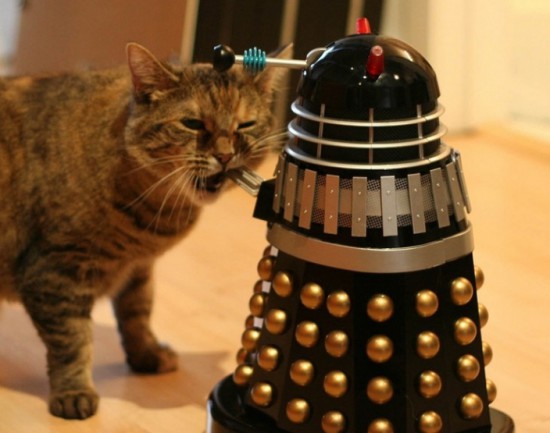 CatDalek