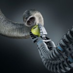 Роботы с мышечной памятью могут учиться так же, как это делают маленькие дети