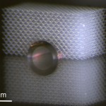 Материал-невидимка, скрывающий прикосновения