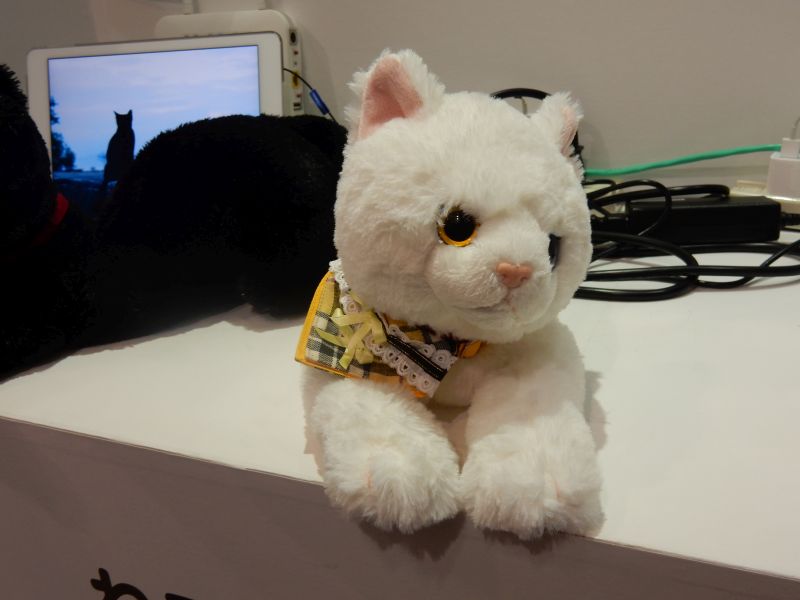 С трекером-ошейником кошкам будет сложнее потеряться